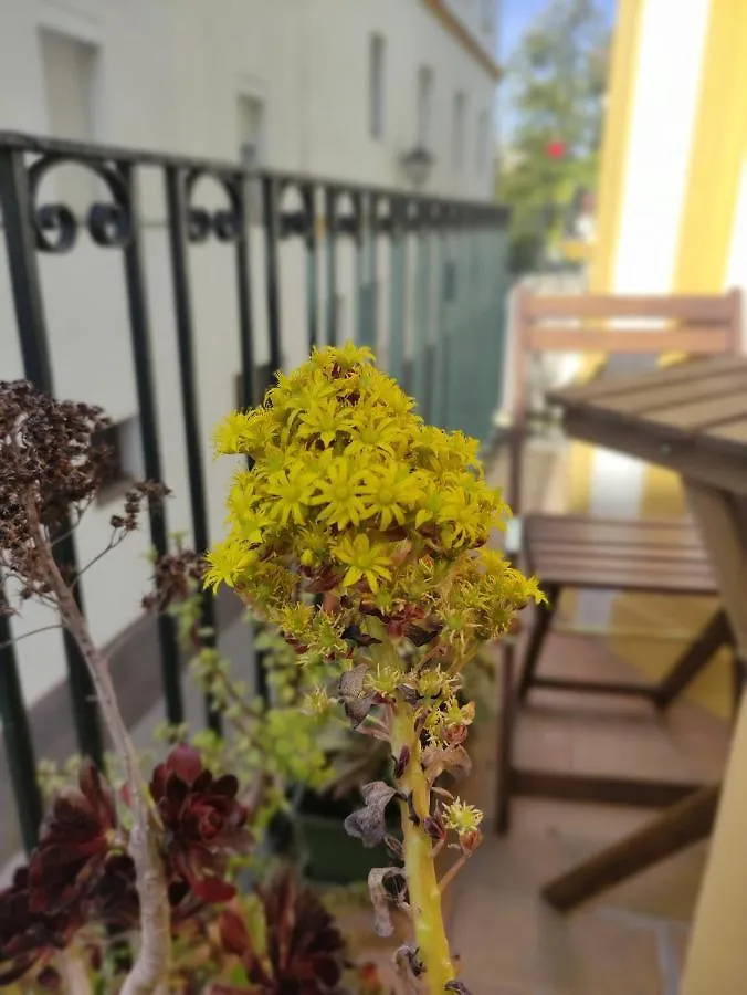 Vive Triana Apartment Seville