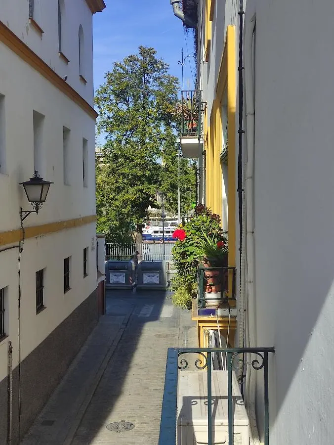 Vive Triana location