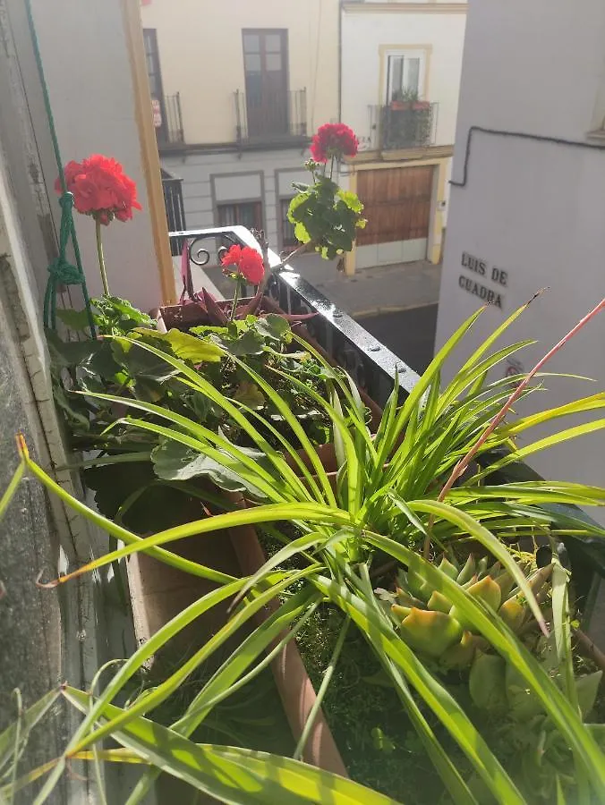 Vive Triana Apartment Seville
